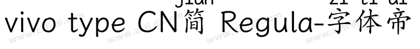 vivo type CN简 Regula字体转换